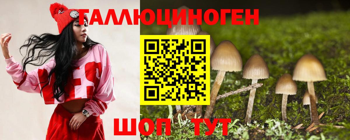 Псилоцибиновые грибы MAGIC MUSHROOMS  Вход с VPN  Бузулук 
